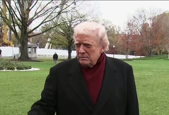 "Поки не остаточний": Трамп зробив нову заяву про план для України